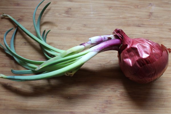 Даркнет вход