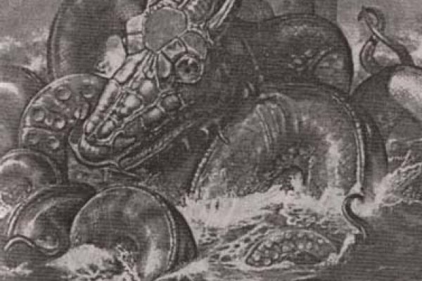 Kraken как найти ссылку
